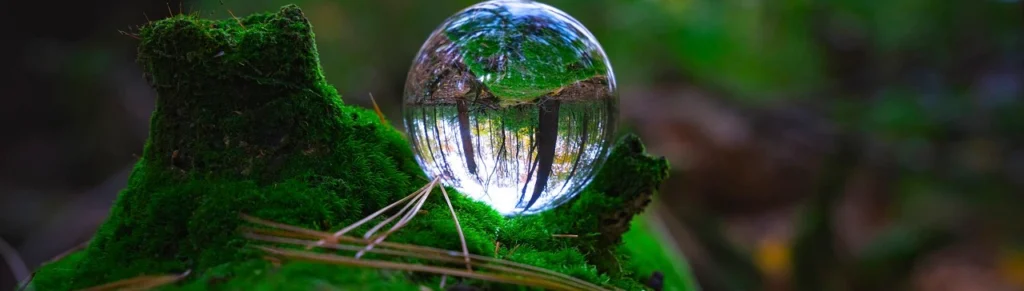 A clear glass orb sits on a lush moss-covered tree stump in a forest, reflecting an inverted view of the surrounding trees and greenery, creating a serene and magical ambiance.